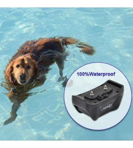 Votre chien peut utiliser le collier de dressage Pet6217 dans l'eau.