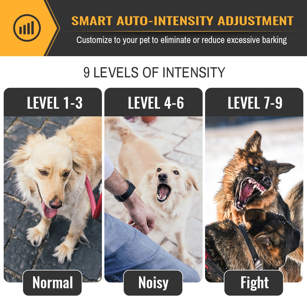 9 intensity levels for the PET856 collar